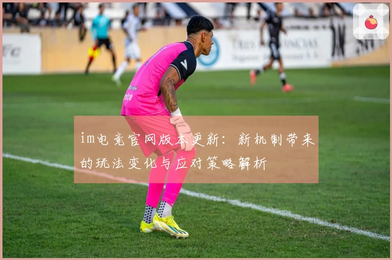im电竞官网版本更新：新机制带来的玩法变化与应对策略解析