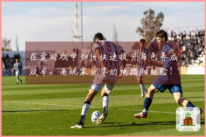 在爱游戏中如何快速提升角色养成效率，老玩家分享的绝招和经验！